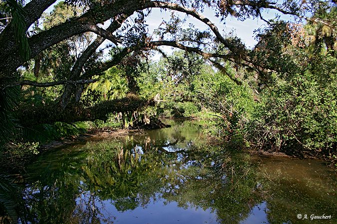 Koreshan State Park